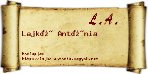 Lajkó Antónia névjegykártya